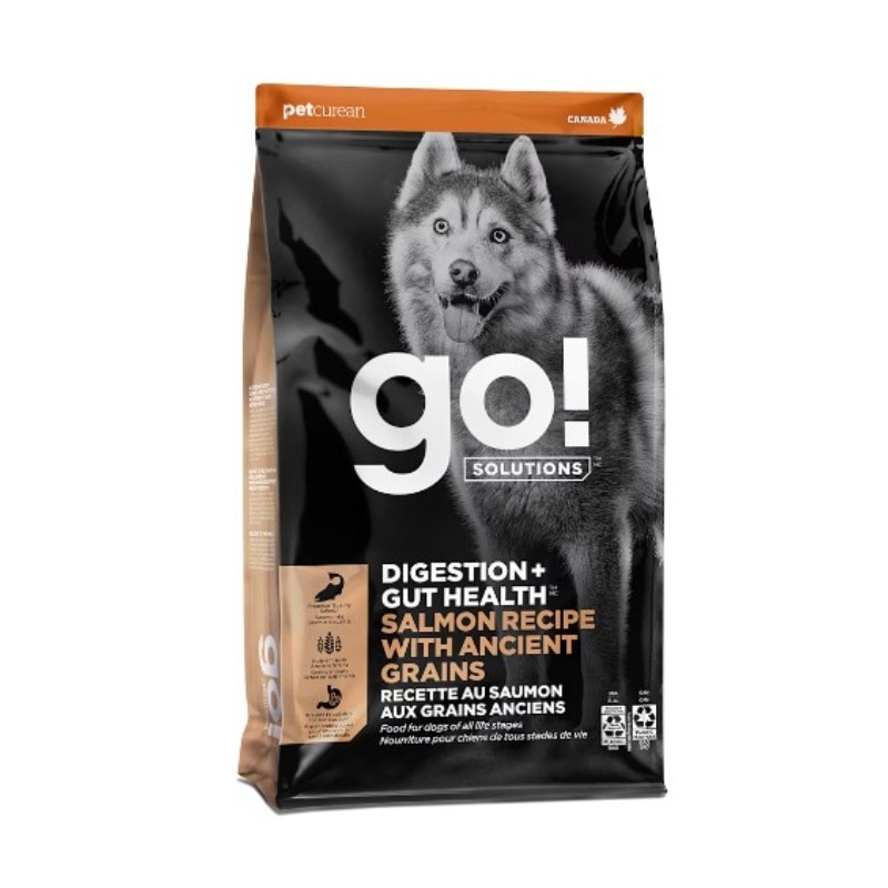 go-solutions-digestion-gut-health-salmon-ancient-grains-dog-food-jWbjNIGo-zoom