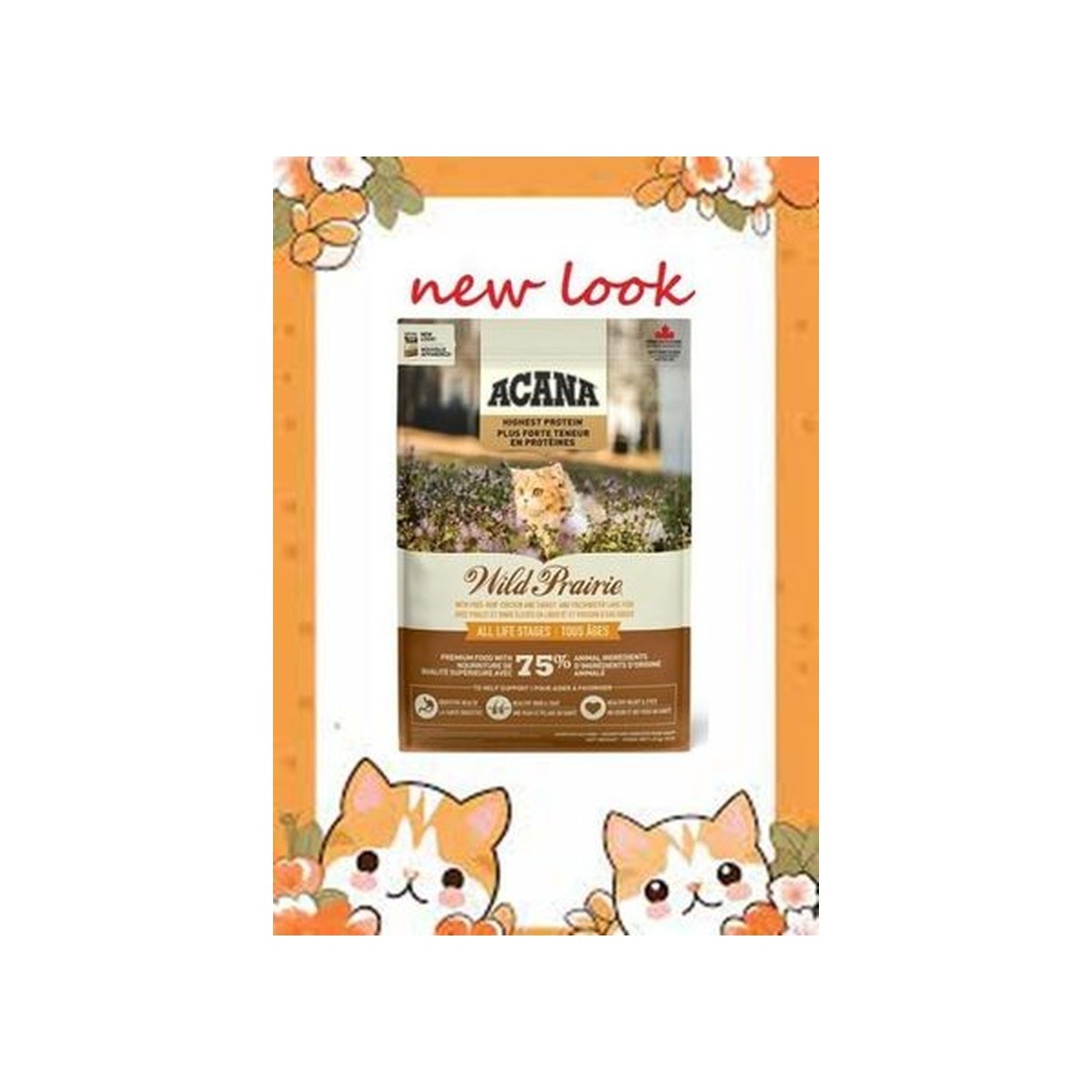 nOloUFBbKk20240307113409_300-uLK1YrOI-zoom