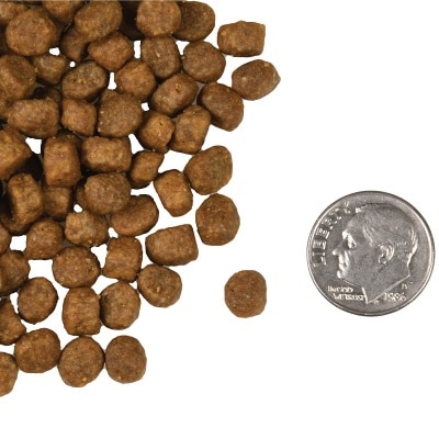 tile_oop-kibble_four-star-cat-dry_salmon-a-la-veg-CKX16sqc-thumbnail