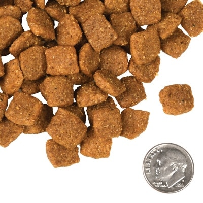 tile_oop-kibble_four-star-dog-dry_chicken-a-la-veg-GQaXiLDv-thumbnail