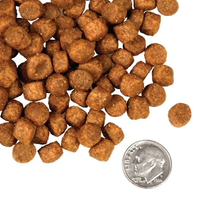 tile_oop-kibble_four-star-dog-dry_game-bird-vOdCjZnD-thumbnail