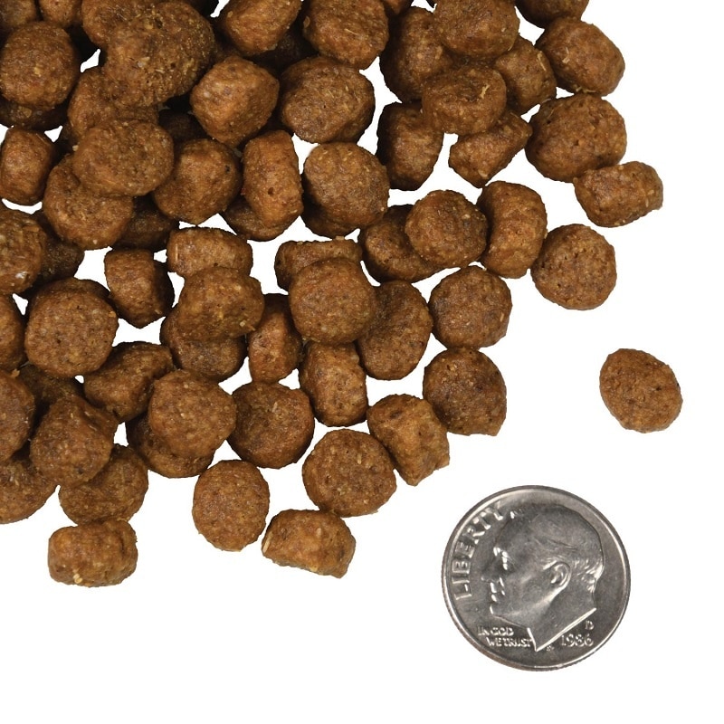 tile_oop-kibble_four-star-dog-dry_salmon-a-la-veg-2Sx3ftbJ-zoom