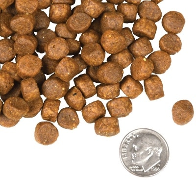 tile_oop-kibble_four-star-dog-dry_surf-n-turf-FTjlKw3y-thumbnail