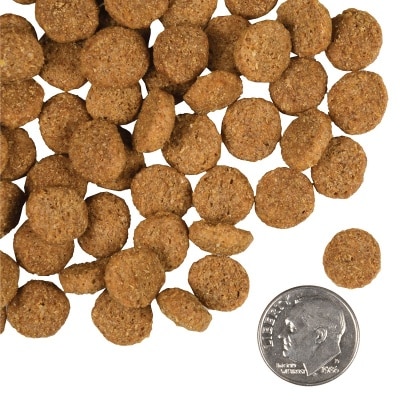 tile_oop-kibble_gold-dog-dry_weight-management-gold-zJuJe8XB-thumbnail