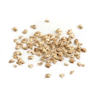 what-cats-best-eB8XbUL0-thumbnail